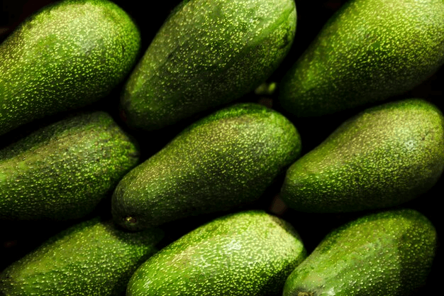 Fuerte Avocado