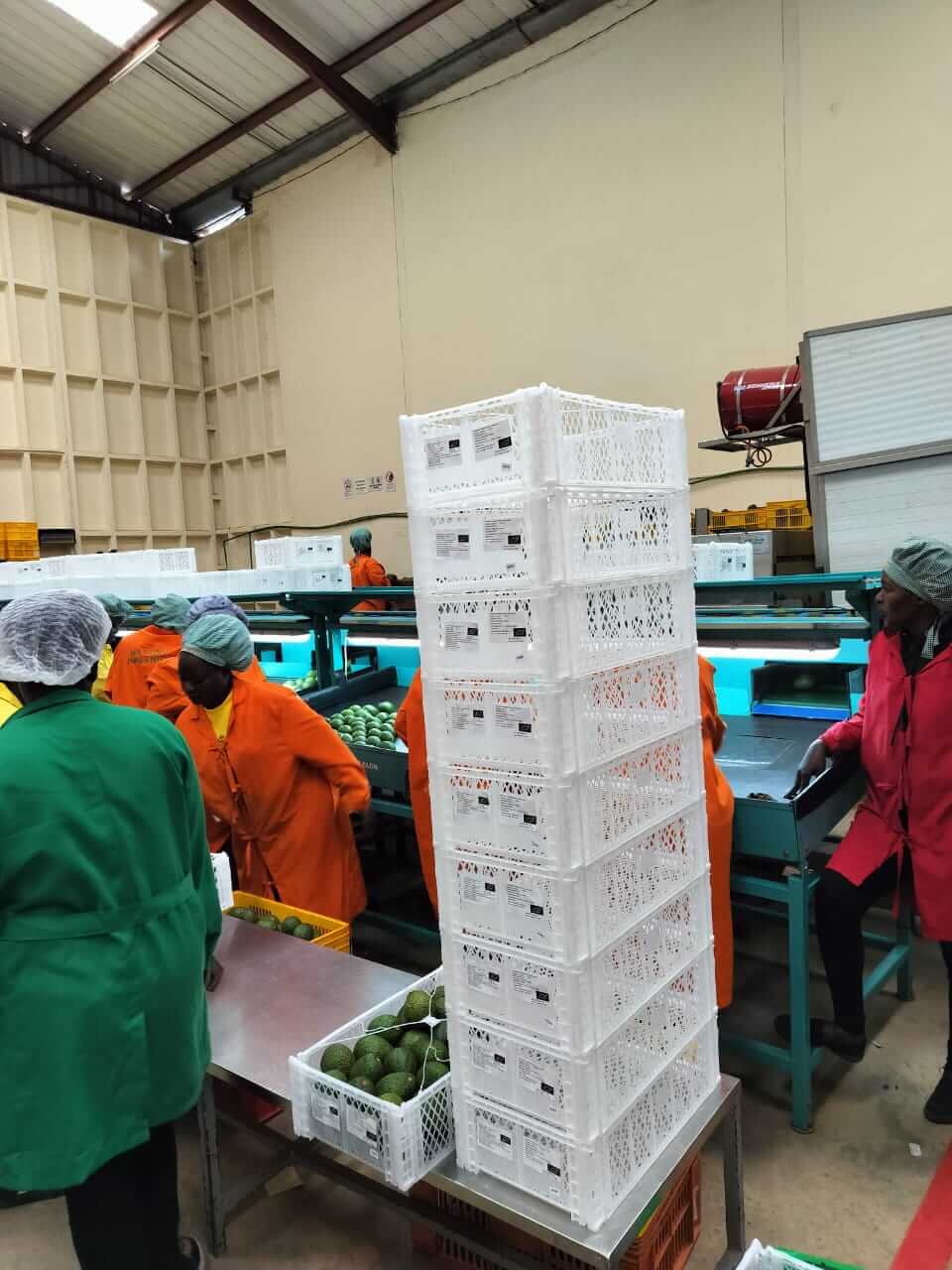 Packaging