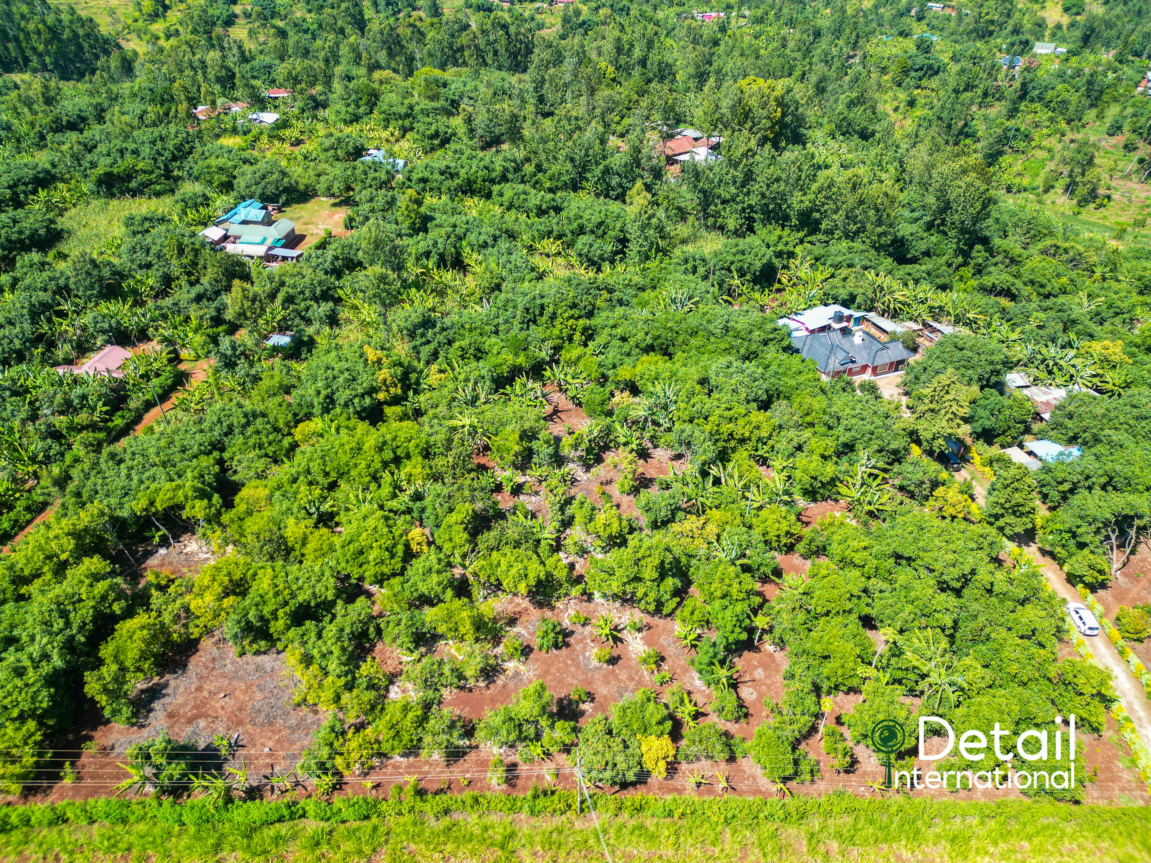 Murang'a farms